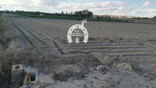 Fondo rustico  De amsterdam. Oportunidadparcela en carretera guardamar