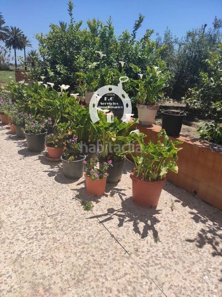Foto 5e42a7f2-9739-429b-a501-66645a45adaf. Casa a Las Bayas Elche / Elx
