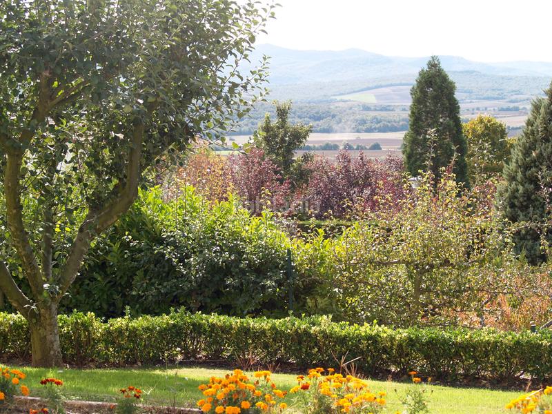 Foto 4b73076c-c4c4-4f5e-8974-94dec7ae77ca. Chalet en Zona Rural Este Vitoria - Gasteiz