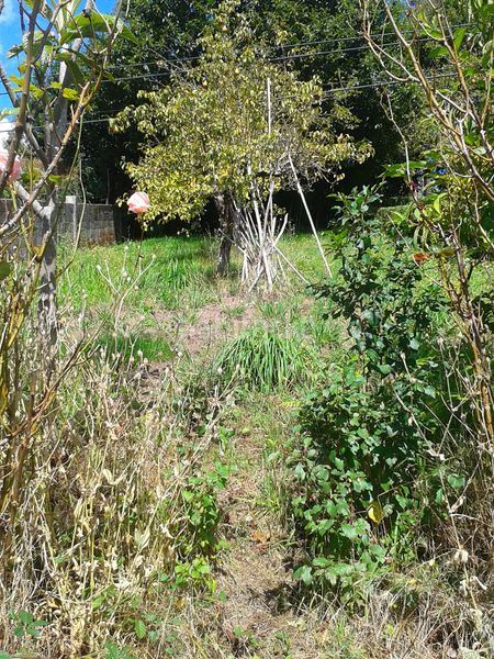 Foto a5d630ec-d0d2-440b-ab0f-5b4410d38f91. Casa amb calefacció aparcament a Vilasantar