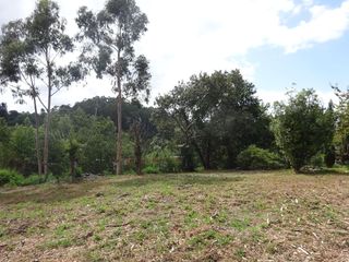 Residential Plot in N/a
