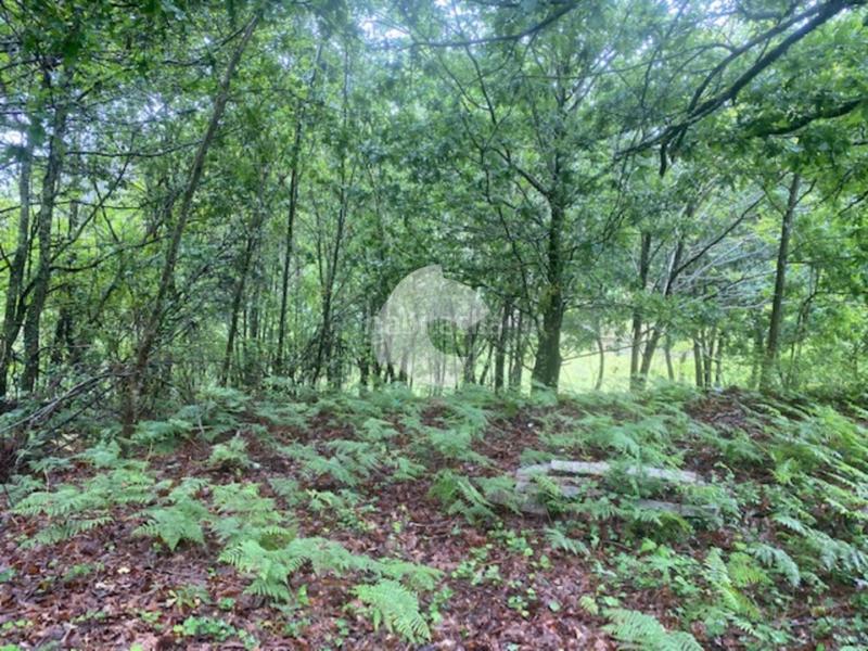 Foto 3107a759-4526-4f81-9722-70be1638e44a. Bâtiment à usage industriel dans Lobios