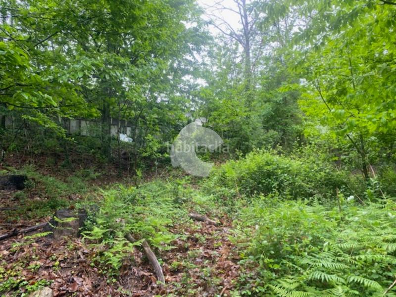 Foto 530ade47-f4ad-42e8-a2bd-889c70c9ef3d. Bâtiment à usage industriel dans Lobios