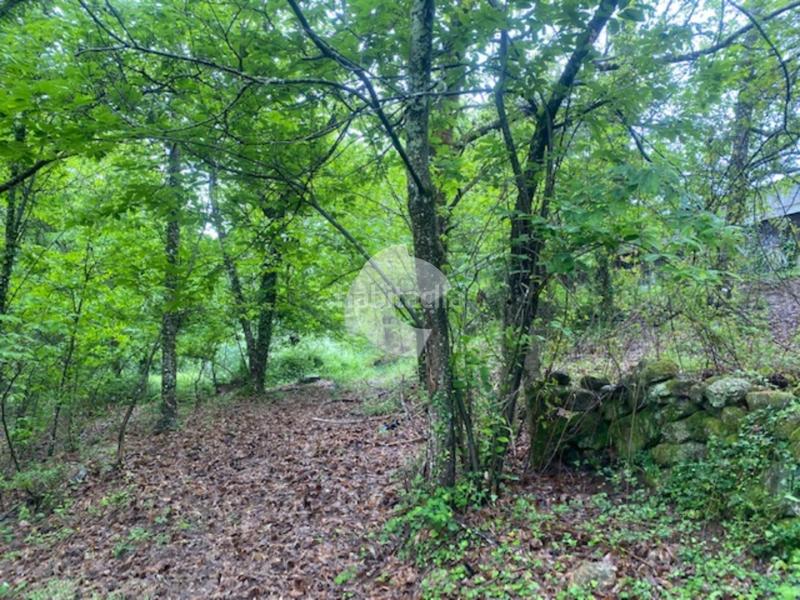 Foto 70dbef1e-aa6a-4e70-bd73-798b87bff8b4. Bâtiment à usage industriel dans Lobios