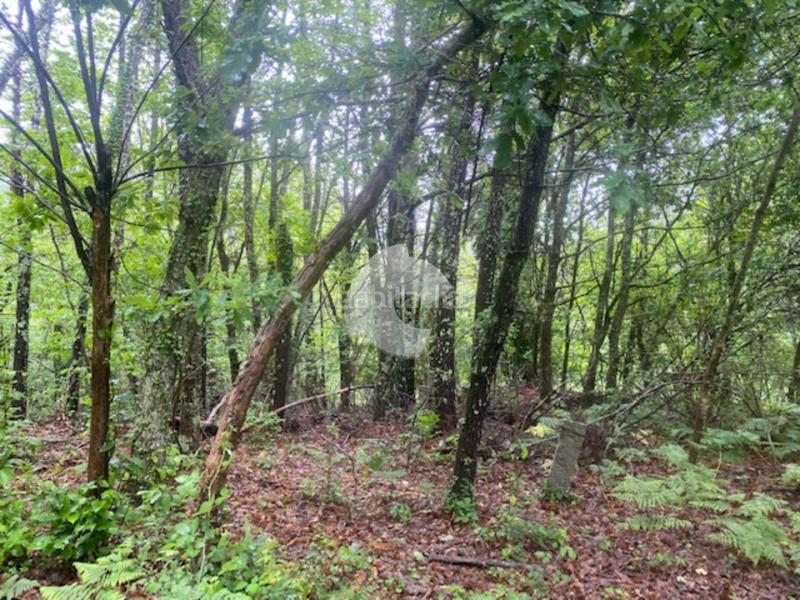 Foto 718b9a8e-9eac-4df1-a4cd-76862be271e3. Bâtiment à usage industriel dans Lobios