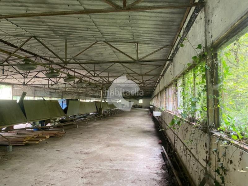 Foto ae547ada-4043-4ecd-8536-64fb730e2002. Bâtiment à usage industriel dans Lobios