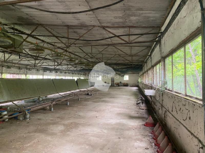 Foto b44d4bf4-d28c-4620-9fb0-29c059bea37d. Bâtiment à usage industriel dans Lobios