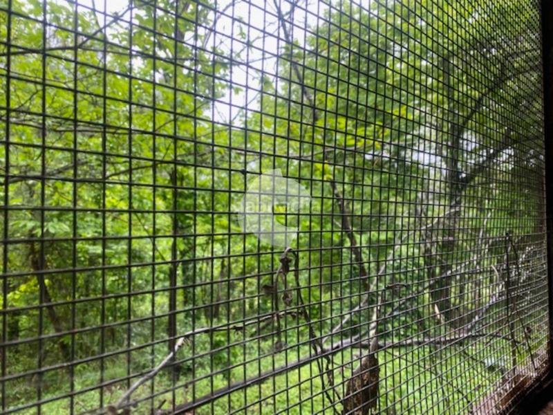 Foto bbe2a8e6-c9d1-4a45-8fc4-54ca530465c5. Bâtiment à usage industriel dans Lobios