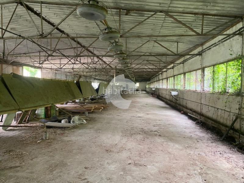 Foto ca6a4e7d-32f2-46ab-ba54-5314c09fa2b5. Bâtiment à usage industriel dans Lobios