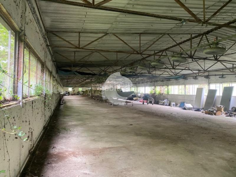 Foto d9fd8072-a440-486e-9adc-1760853034b4. Bâtiment à usage industriel dans Lobios