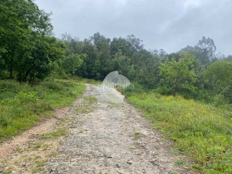 Foto db462ccd-af4c-4ae9-a3be-c7d3c4c9fed9. Bâtiment à usage industriel dans Lobios