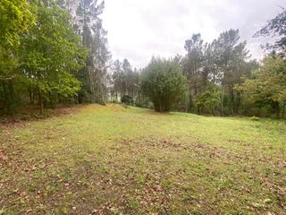 Terreny residencial a Pereiro de Aguiar (O). Finca urbanizable de 3.200m2 en melias, pereiro de aguiar. const