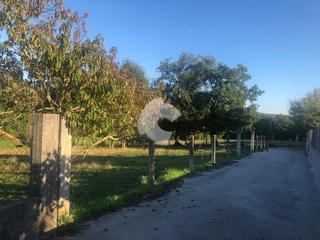 Terreny residencial a Nogueira de Ramuín. Preciosa finca urbanizable de 4100 m2 en san miguel do campo. ex