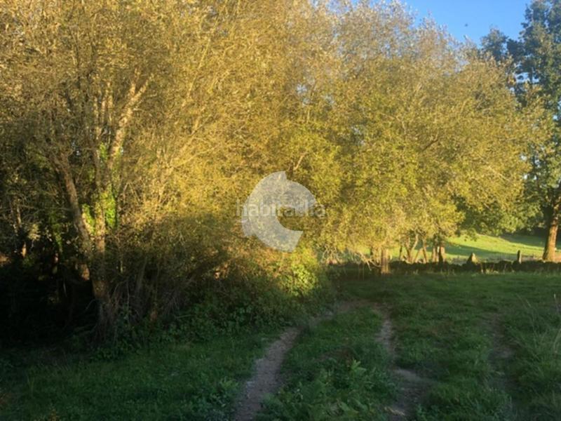 Foto 01f8e128-43bc-4ce4-a12a-8504d30d5b30. Terrain résidentiel dans Nogueira de Ramuín