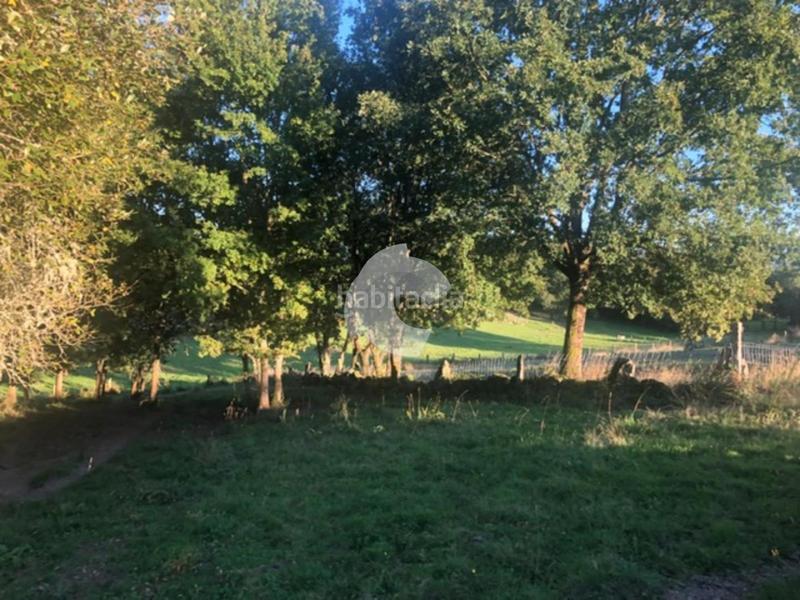 Foto 070c0eed-c47a-4448-be48-6eb749f8d660. Terrain résidentiel dans Nogueira de Ramuín