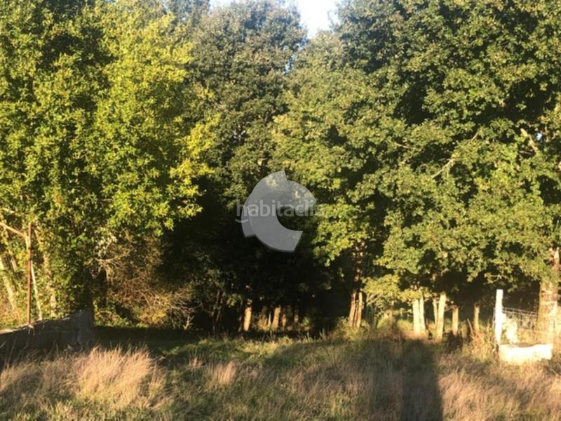 Foto 143bd70c-cea8-40a7-84dc-7edf398c6e4c. Terrain résidentiel dans Nogueira de Ramuín