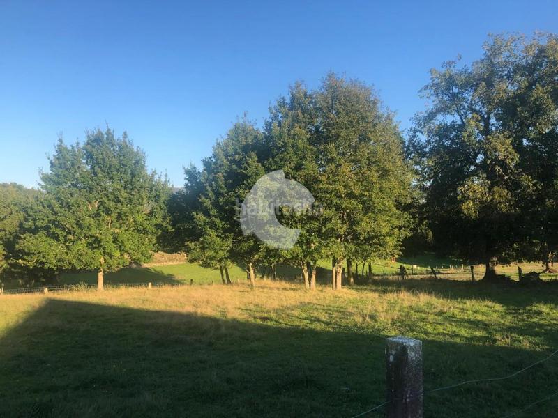 Foto 18eb6f80-437d-4655-bc33-0e007714d453. Terrain résidentiel dans Nogueira de Ramuín