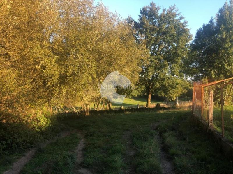 Foto 19154912-7f63-4f0b-bf10-18bd8eb8f2a4. Terrain résidentiel dans Nogueira de Ramuín