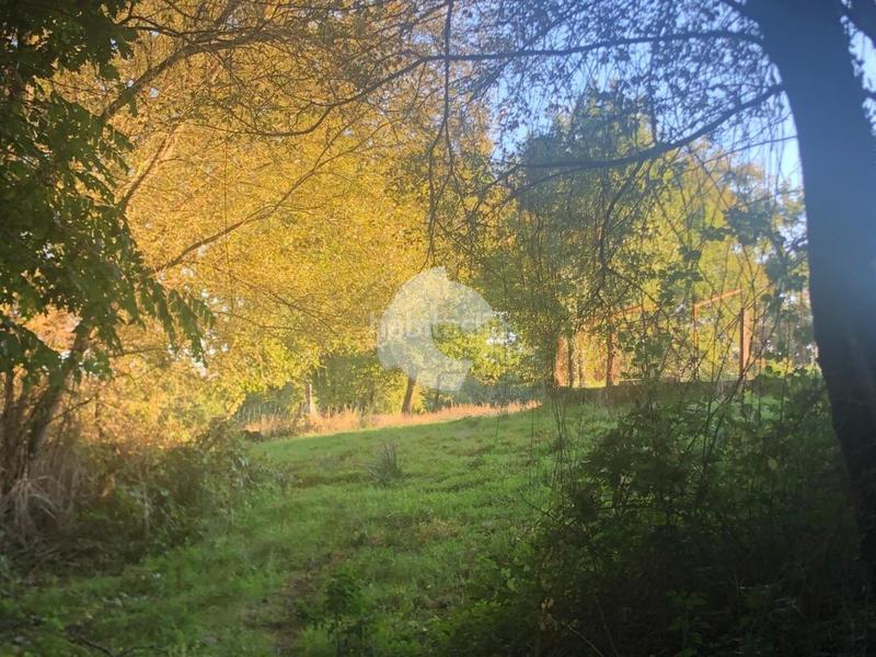 Foto 2038a325-be09-4225-acf2-b8a14eff9770. Terrain résidentiel dans Nogueira de Ramuín