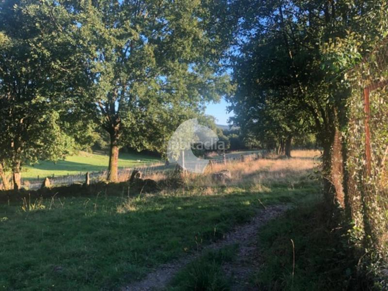 Foto 25ffc43a-e222-4b21-9142-135e27784c82. Terrain résidentiel dans Nogueira de Ramuín