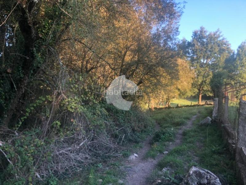 Foto 284908cc-507e-4a4b-b1b5-16d05a7a1da4. Terrain résidentiel dans Nogueira de Ramuín