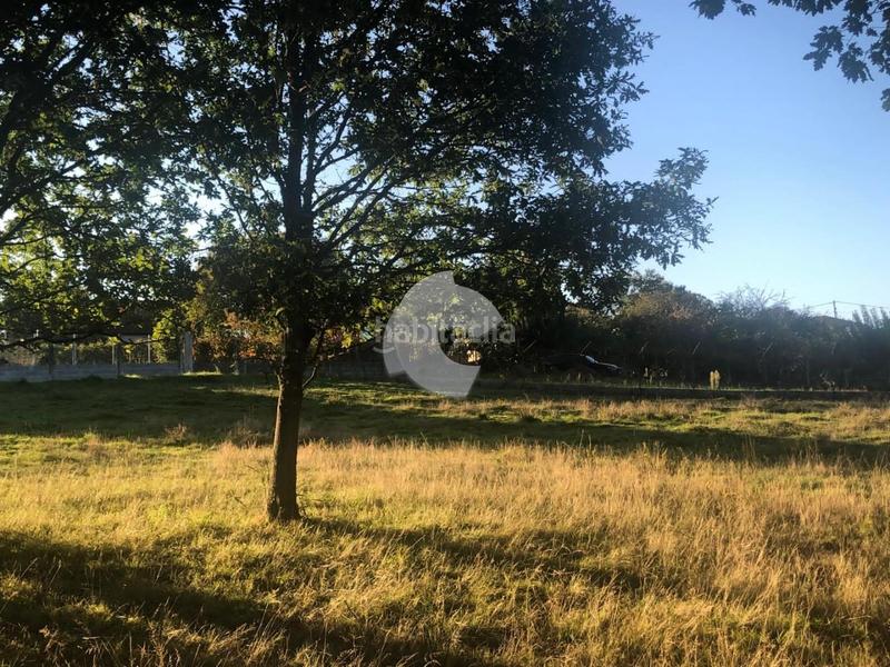 Foto 2ee90bc9-b6b5-4b7f-88a3-4e3901500320. Terrain résidentiel dans Nogueira de Ramuín