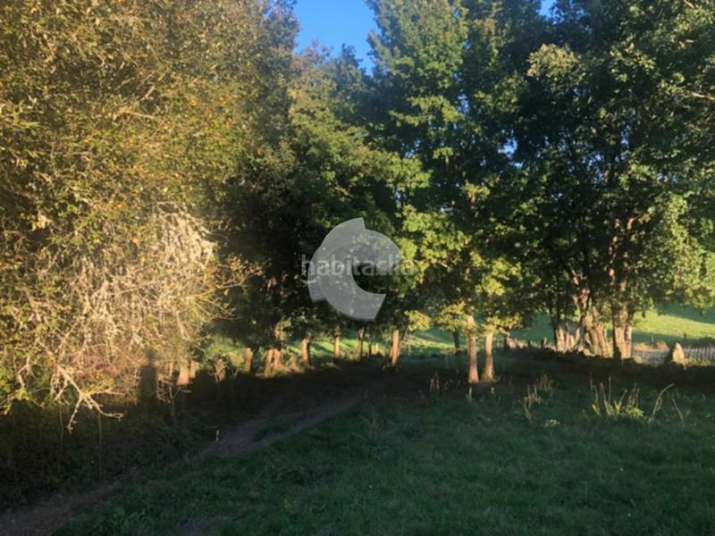 Foto 2fe1567f-8dd3-42b2-a967-9564d381acd0. Terrain résidentiel dans Nogueira de Ramuín