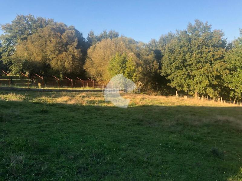 Foto 336a9848-063b-46a8-987f-95bcc4ce7ad7. Terrain résidentiel dans Nogueira de Ramuín