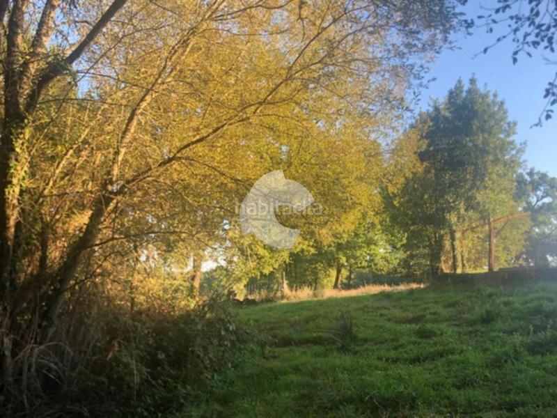 Foto 3ff237ab-badc-4e73-9adc-c7b4aa32f132. Terrain résidentiel dans Nogueira de Ramuín