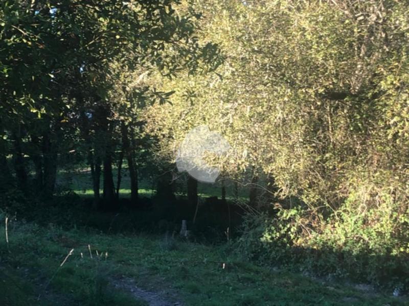 Foto 40da9db3-b99e-45a7-ab7e-29c0c88b6862. Terrain résidentiel dans Nogueira de Ramuín