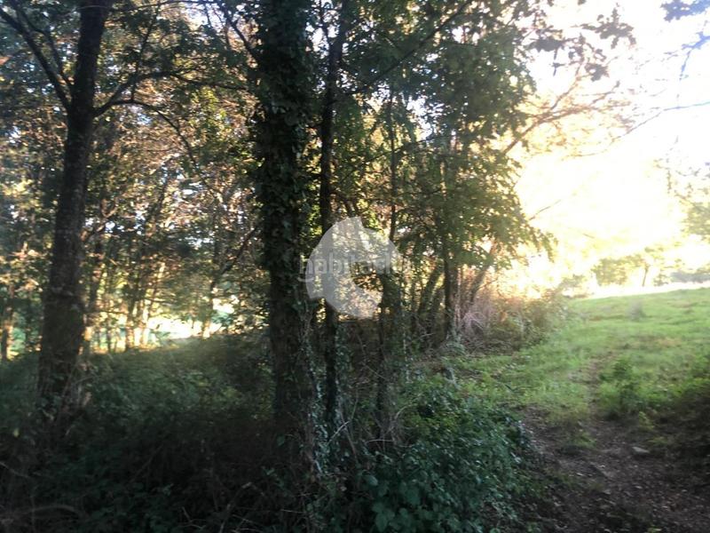 Foto 52d5cb9f-7031-44be-a108-bb23eb8bd0c9. Terrain résidentiel dans Nogueira de Ramuín