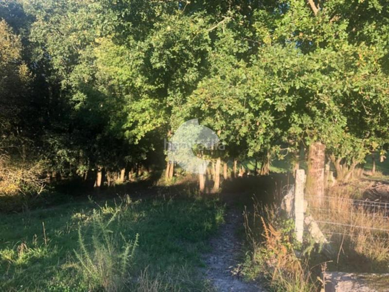 Foto 554e0656-7c46-462b-b7e5-0045644fdb5d. Terrain résidentiel dans Nogueira de Ramuín