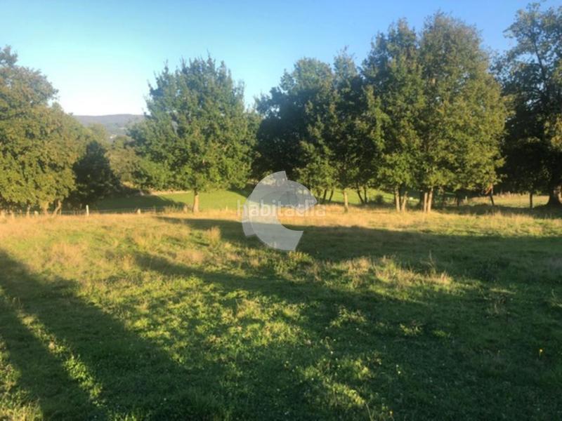 Foto 559e72d5-b0be-4208-adce-d6808f2e7dd9. Terrain résidentiel dans Nogueira de Ramuín