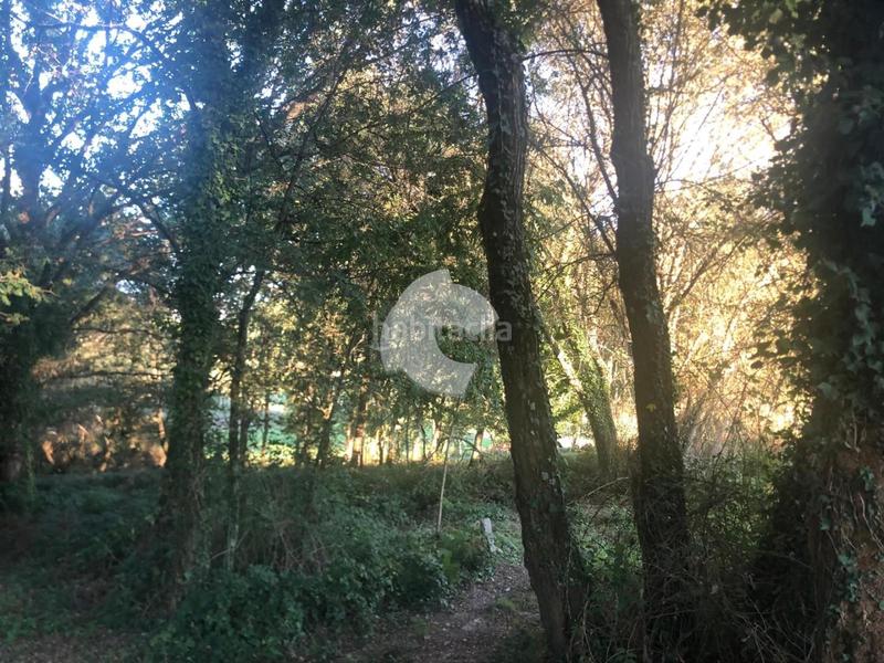 Foto 5b7b59e3-d89b-4a77-a4e4-bd8aeffa7b25. Terrain résidentiel dans Nogueira de Ramuín