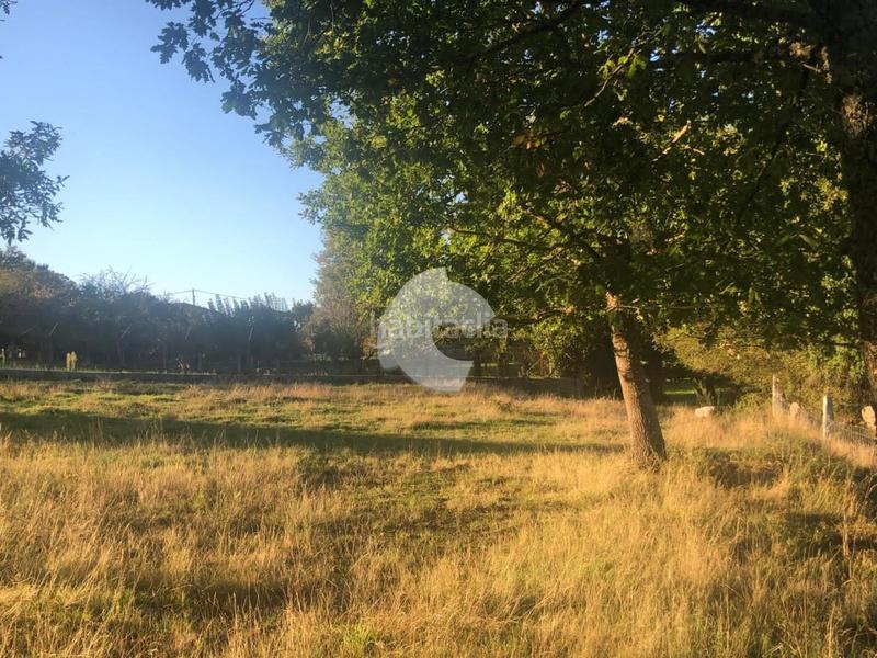 Foto 5ea3efce-7e90-4d8e-94e6-2ded2cc03c8d. Terrain résidentiel dans Nogueira de Ramuín