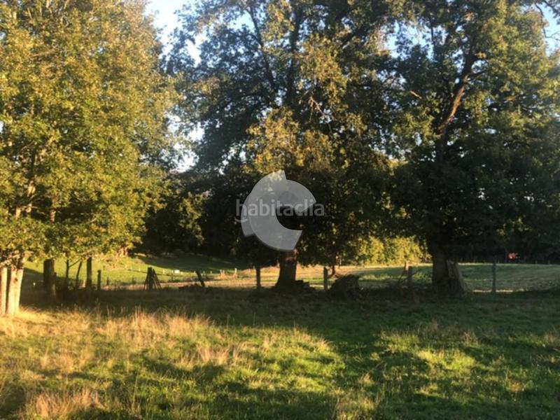 Foto 615665a5-c2b2-4ef4-8cd1-c06c57bfbe77. Terrain résidentiel dans Nogueira de Ramuín