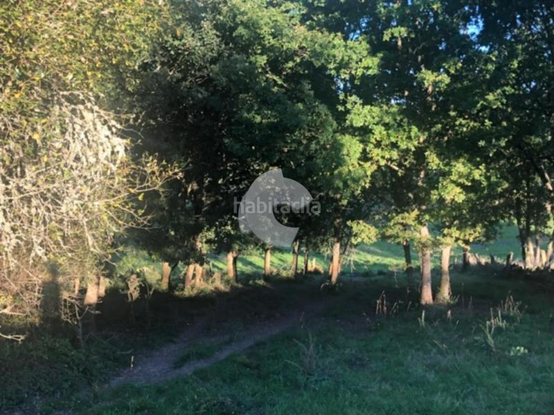 Foto 6455a577-4c3b-4f92-ae4e-9ad23889ab60. Terrain résidentiel dans Nogueira de Ramuín