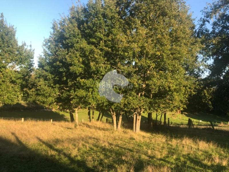 Foto 64f24084-1754-49cb-90bd-813aba38f3bf. Terrain résidentiel dans Nogueira de Ramuín