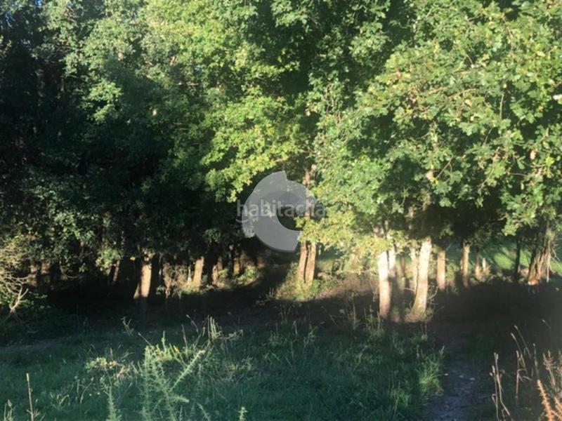 Foto 6cb03041-a6bb-40af-8177-0c07a7b4d05c. Terrain résidentiel dans Nogueira de Ramuín