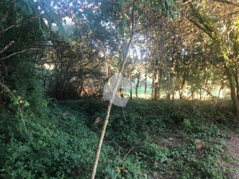 Foto 7231fff0-4673-450f-b710-b3325aa27d69. Terrain résidentiel dans Nogueira de Ramuín