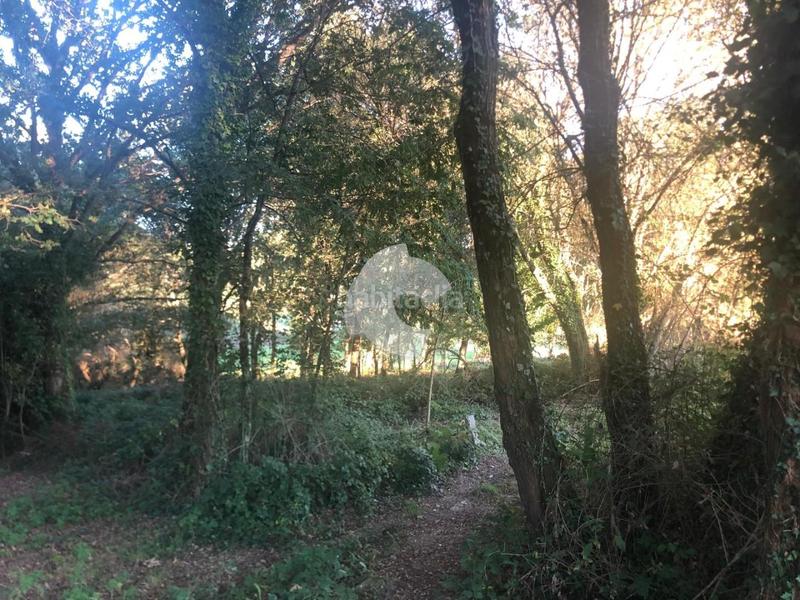 Foto b5273731-cfd2-4f62-9aca-4768dae2b1f4. Terrain résidentiel dans Nogueira de Ramuín