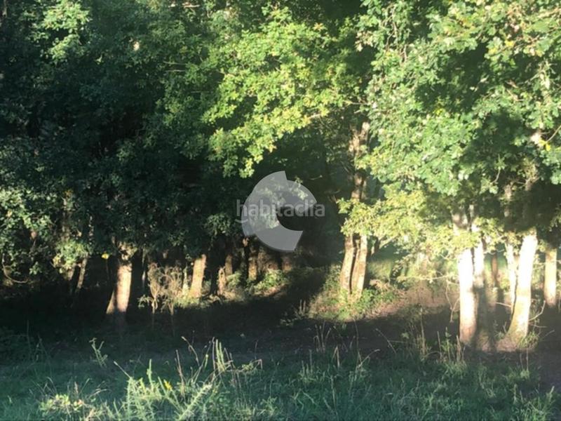 Foto dbbc356a-0a4f-4d17-a55c-5f875ec7381f. Terrain résidentiel dans Nogueira de Ramuín