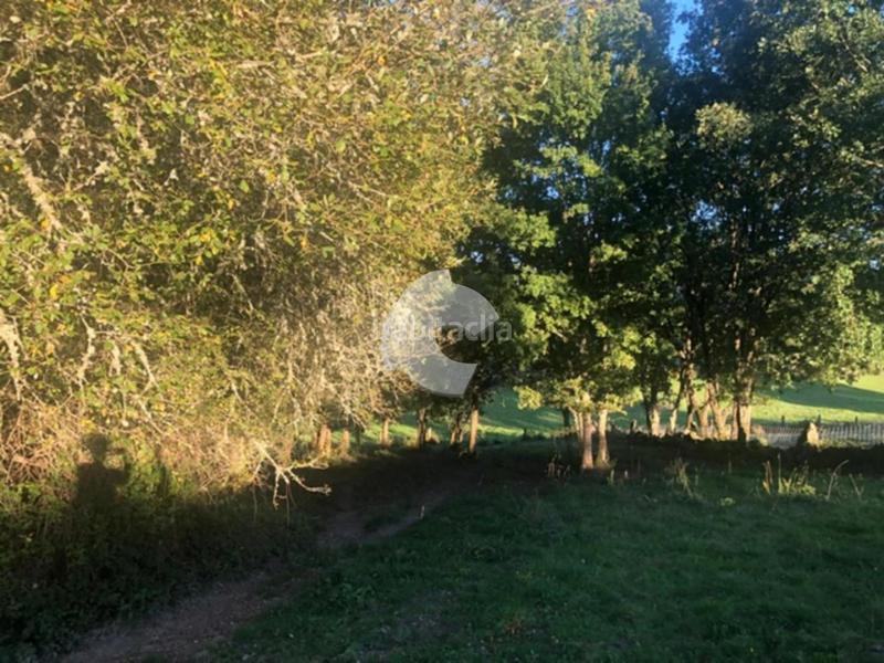 Foto de3ed656-9883-47aa-b366-8eabbf4af006. Terrain résidentiel dans Nogueira de Ramuín