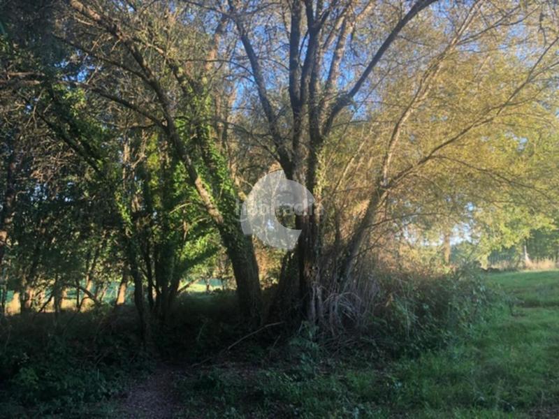 Foto e0997d57-c0bd-466c-9edd-1223732ed972. Terrain résidentiel dans Nogueira de Ramuín