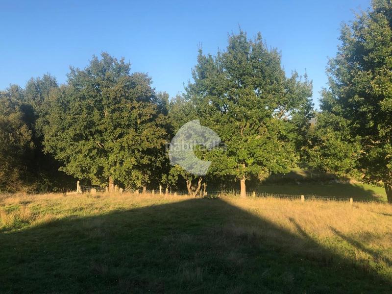 Foto f35acfd8-fe1b-4c75-987a-81d74d33282d. Terrain résidentiel dans Nogueira de Ramuín