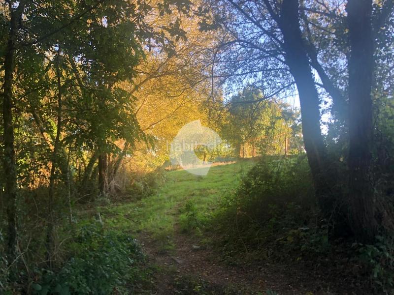 Foto f47d8952-1709-4071-82a9-2e36d07534f0. Terrain résidentiel dans Nogueira de Ramuín