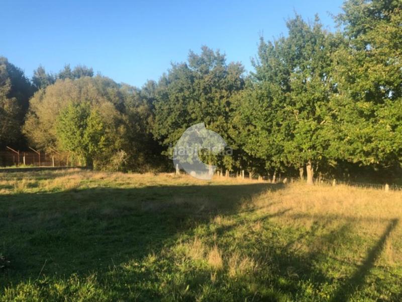 Foto f9d4f7bf-c2a9-4d63-97b3-0d93f7fb6129. Terrain résidentiel dans Nogueira de Ramuín