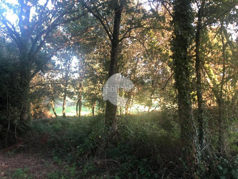 Foto fa13eca1-449f-41a7-8ea1-621e0d07743c. Terrain résidentiel dans Nogueira de Ramuín