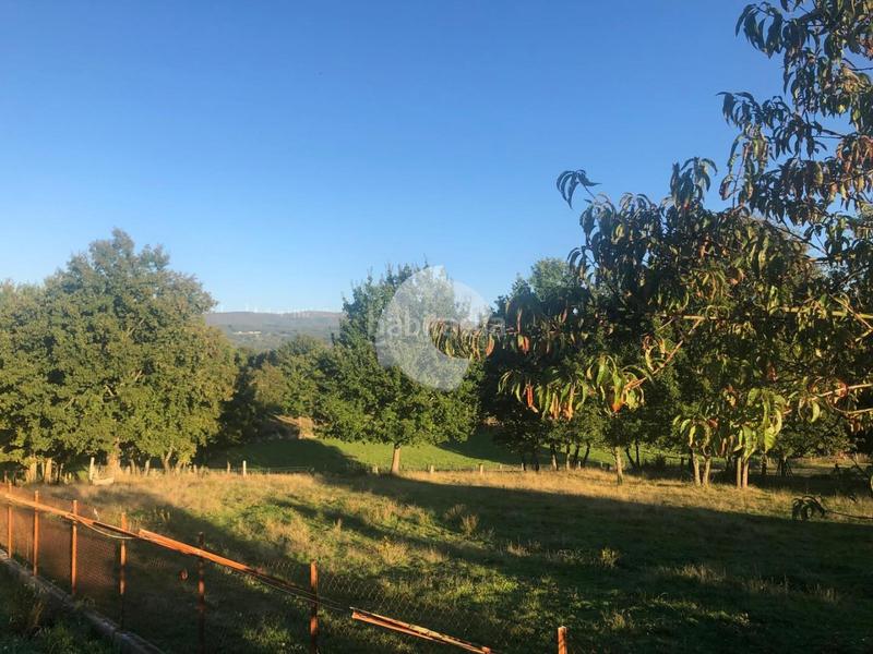 Foto fbc66ff9-fbe3-4c51-9676-3dffb7064761. Terrain résidentiel dans Nogueira de Ramuín