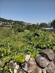 Terreny residencial a Pereiro de Aguiar (O). Finca urbanizable de 1036 m2 precio de venta 90.000     >>>> en